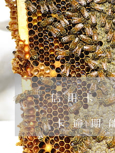 信用卡經(jīng)常逾期能貸款嗎(信用卡逾期能貸款嗎?)
