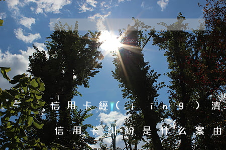信用卡經(jīng)濟糾紛案件怎么處理(信用卡糾紛是什么案由)