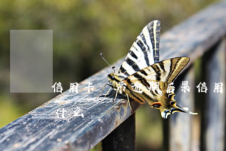 信用卡經常逾期后果(信用卡經常逾期后果是什么)