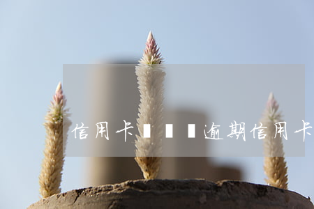 信用卡維護費逾期(信用卡年費 投訴)