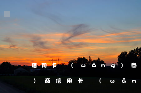 信用卡網(wǎng)商貸怎么協(xié)商(信用卡網(wǎng)商貸怎么協(xié)商還款)
