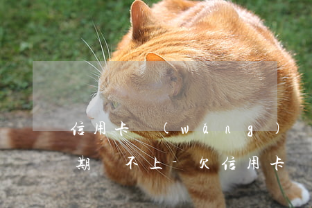 信用卡網(wǎng)絡(luò)借貸逾期還不上-欠信用卡網(wǎng)貸無力償還會怎樣