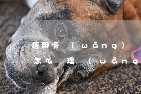 信用卡網(wǎng)絡(luò)貸逾期怎么處理(網(wǎng)貸逾期 信用卡)