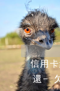 信用卡網(wǎng)貸20多萬逾期怎么還-欠信用卡網(wǎng)貸20萬