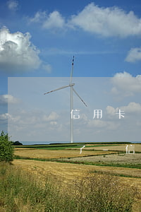 信用卡網(wǎng)貸21萬逾期還不起了-信用卡網(wǎng)貸21萬逾期還不起了怎么辦