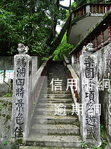 信用卡網(wǎng)貸60萬(wàn)逾期(網(wǎng)貸信用卡50多萬(wàn)全部逾期怎么辦)