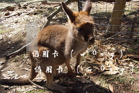 信用卡網(wǎng)貸6萬可以逾期多久(信用卡網(wǎng)貸6萬可以逾期多久上征信)