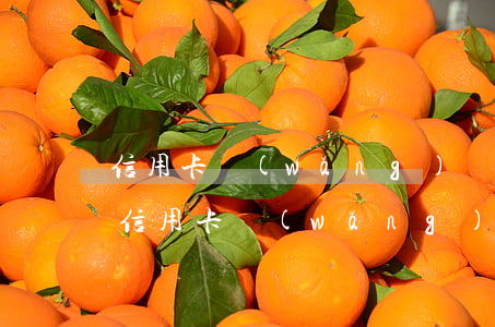 信用卡網(wǎng)貸一共欠了30萬(欠信用卡網(wǎng)貸幾十萬)