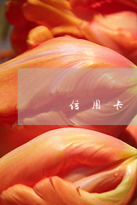 信用卡網(wǎng)貸一直賴著不還