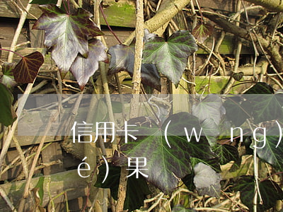 信用卡網(wǎng)貸不還最壞結(jié)果