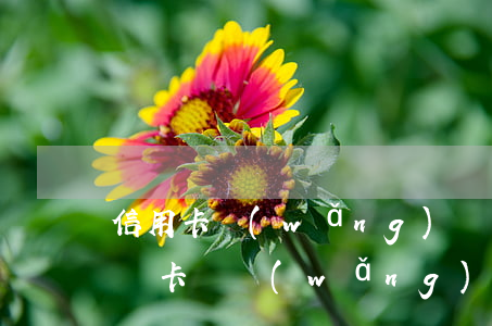 信用卡網(wǎng)貸不還會(huì)凍卡嗎(網(wǎng)貸會(huì)凍結(jié)信用卡)