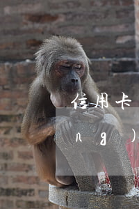 信用卡網(wǎng)貸全不逾期(網(wǎng)貸逾期是不是辦不了信用卡)