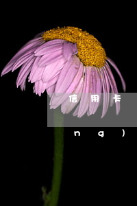 信用卡網(wǎng)貸全逾期了(網(wǎng)貸逾期與信用卡逾期的后果)