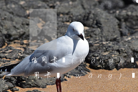 信用卡網(wǎng)貸全部逾期丟工作(信用卡,網(wǎng)貸,即將逾期怎么辦)