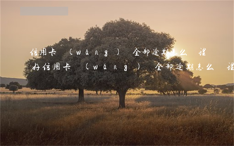 信用卡網(wǎng)貸全部逾期怎么處理好（信用卡網(wǎng)貸全部逾期怎么處理）