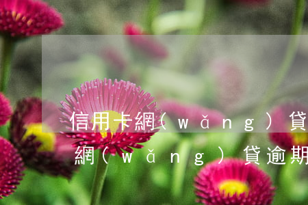 信用卡網(wǎng)貸全部逾期還能貸嗎(網(wǎng)貸逾期了信用卡還可以用嗎)