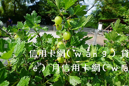 信用卡網(wǎng)貸全面逾期7個(gè)月(信用卡,網(wǎng)貸全部逾期了)