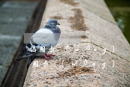 信用卡網(wǎng)貸全面逾期八十萬(信用卡網(wǎng)貸全面逾期八十萬)