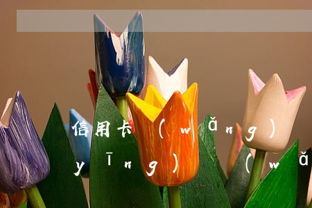 信用卡網(wǎng)貸全面逾期怎么應(yīng)對(網(wǎng)貸逾期辦理信用卡)