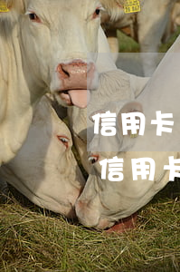 信用卡網(wǎng)貸全面逾期還款順序(信用卡網(wǎng)貸全面逾期還款順序)