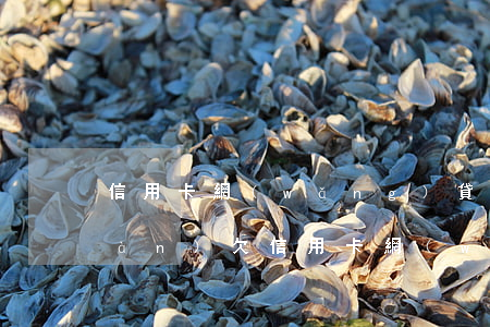 信用卡網(wǎng)貸共欠了13萬(wàn)(欠信用卡網(wǎng)貸60幾萬(wàn))
