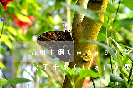 信用卡網(wǎng)貸加起來(lái)欠了十來(lái)萬(wàn)(網(wǎng)貸和信用卡欠了十幾萬(wàn),應(yīng)該怎么辦?)