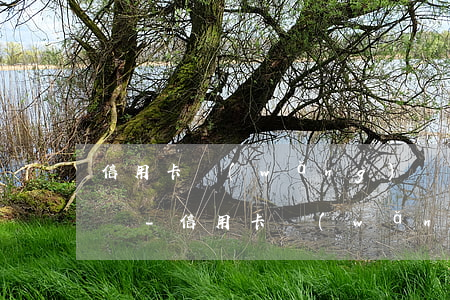 信用卡網(wǎng)貸十幾萬還不上怎么辦-信用卡網(wǎng)貸十幾萬還不上怎么辦呢