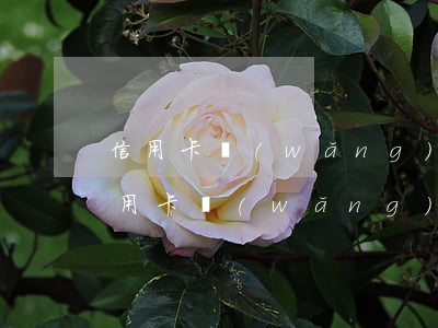 信用卡網(wǎng)貸協(xié)商(信用卡網(wǎng)貸逾期找律師協(xié)商有用嗎)