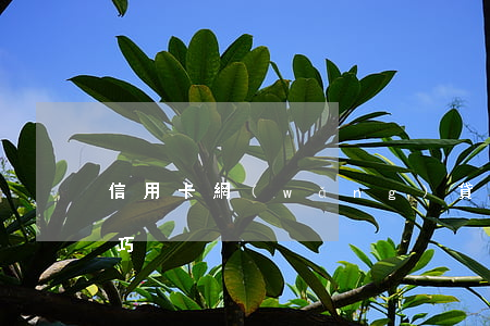 信用卡網(wǎng)貸協(xié)商技巧
