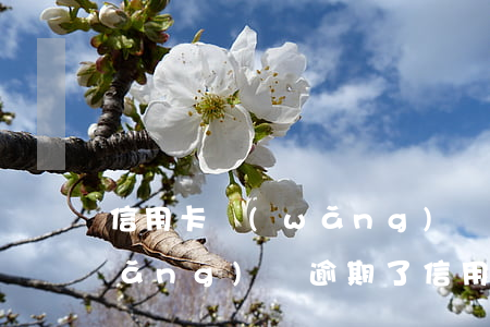 信用卡網(wǎng)貸大量逾期-網(wǎng)貸逾期了信用卡受影響