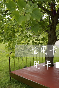 信用卡網(wǎng)貸快要逾期怎么辦(信用卡,網(wǎng)貸逾期怎么處理方法)
