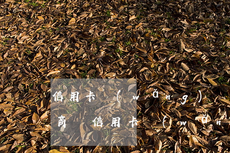 信用卡網(wǎng)貸怎么協(xié)商還(信用卡網(wǎng)貸怎么協(xié)商還)