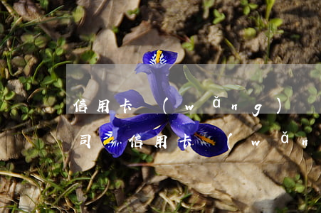 信用卡網(wǎng)貸有逾期可以注冊公司嗎（信用卡網(wǎng)貸有逾期）