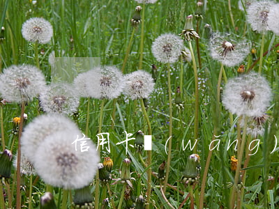 信用卡網(wǎng)貸有逾期能貸款