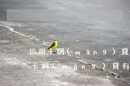 信用卡網(wǎng)貸有逾期記錄-信用卡網(wǎng)貸有逾期記錄