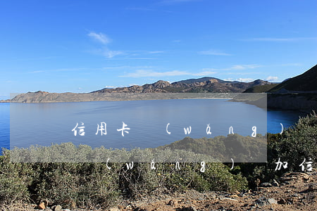 信用卡網(wǎng)貸欠26萬怎么處理(網(wǎng)貸加信用卡欠款20萬該怎么辦)