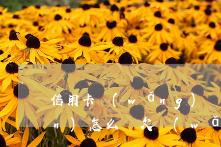 信用卡網(wǎng)貸欠30多萬(wàn)怎么還(欠網(wǎng)貸信用卡30萬(wàn)去哪里自首)