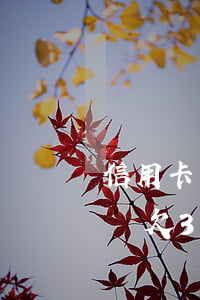 信用卡網(wǎng)貸欠30萬不還可以嗎(欠30萬網(wǎng)貸信用卡怎么還)
