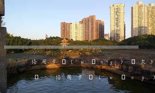 信用卡網(wǎng)貸欠35000如何還-信用卡網(wǎng)貸欠35000如何還款
