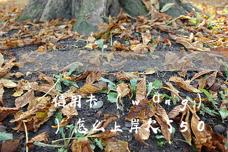 信用卡網(wǎng)貸欠40萬(wàn)怎么上岸(欠了50萬(wàn)網(wǎng)貸和信用卡,我該怎么去上岸)