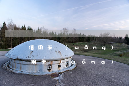 信用卡網(wǎng)貸欠70萬怎么辦(信用卡網(wǎng)貸欠70萬怎么辦)