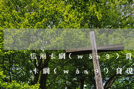 信用卡網(wǎng)貸欠不還了(我欠信用卡,網(wǎng)貸,現(xiàn)在還不上,該怎么辦)