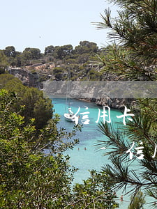 信用卡網(wǎng)貸欠了10多萬怎么辦-信用卡網(wǎng)貸欠了10多萬怎么辦呢