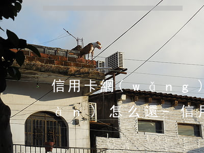 信用卡網(wǎng)貸欠了10幾萬(wàn)怎么還-信用卡網(wǎng)貸欠了10幾萬(wàn)怎么還款