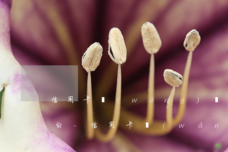 信用卡網(wǎng)貸欠了10萬怎么坦白-信用卡網(wǎng)貸欠了10萬怎么坦白呢