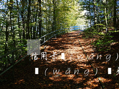 信用卡網(wǎng)貸欠了16萬(信用卡網(wǎng)貸欠了16萬)