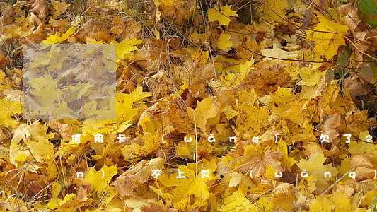 信用卡網(wǎng)貸欠了25萬(wàn)還不上(欠網(wǎng)貸25萬(wàn)信用卡25萬(wàn)還不上)