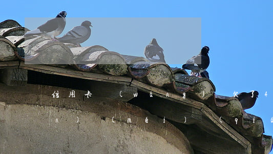 信用卡網(wǎng)貸欠了40萬(wàn)沒(méi)錢(qián)還了(欠30萬(wàn)網(wǎng)貸信用卡怎么還)