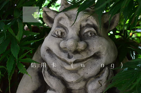 信用卡網(wǎng)貸欠五十多萬怎么辦
