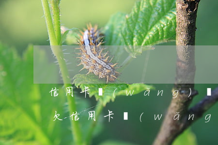 信用卡網(wǎng)貸欠六七十萬還不起(欠信用卡網(wǎng)貸60幾萬)